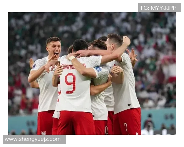 波兰足球明星的辉煌历程与成就解析